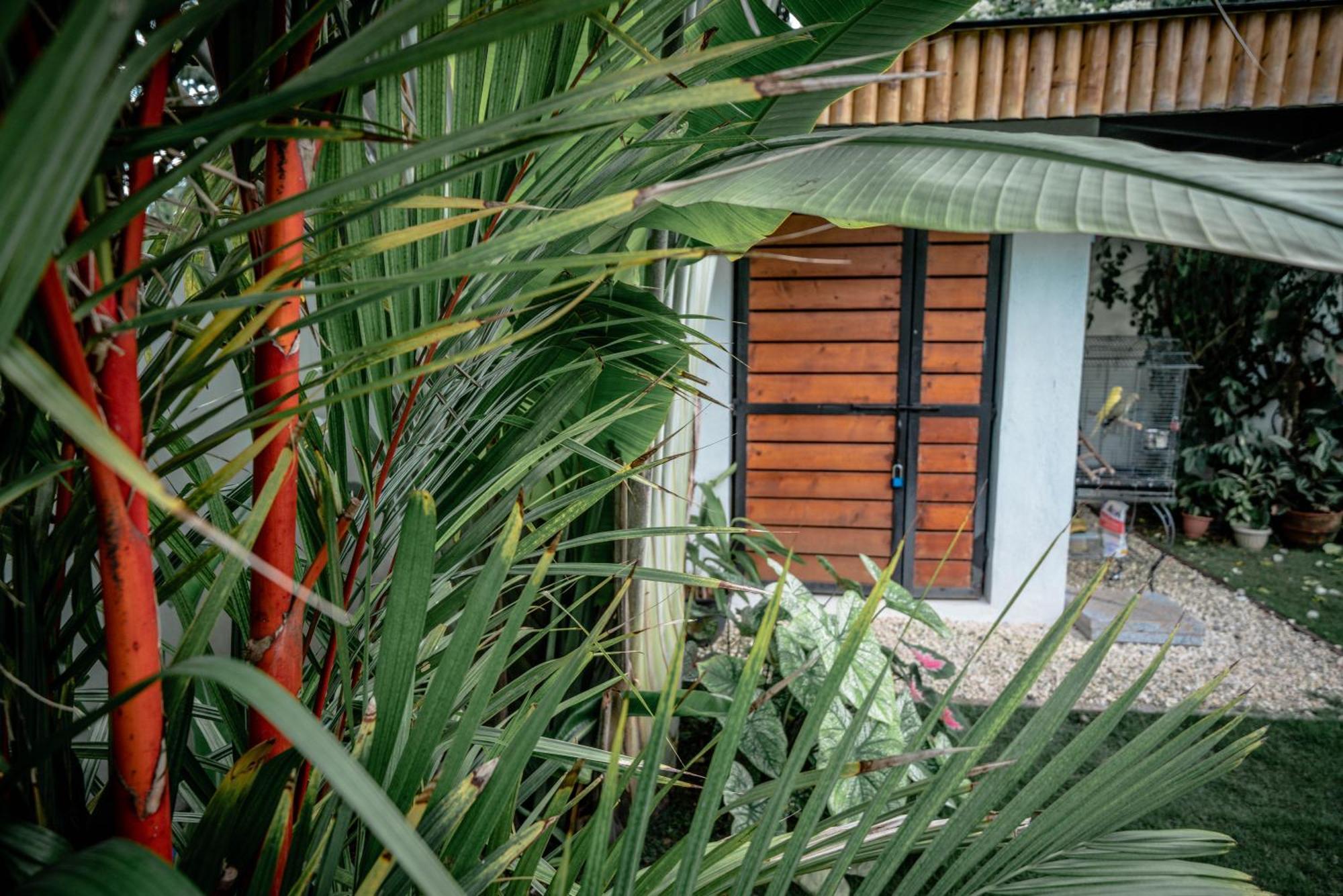 Tana Mysterious Garden Villa Панглао Екстериор снимка