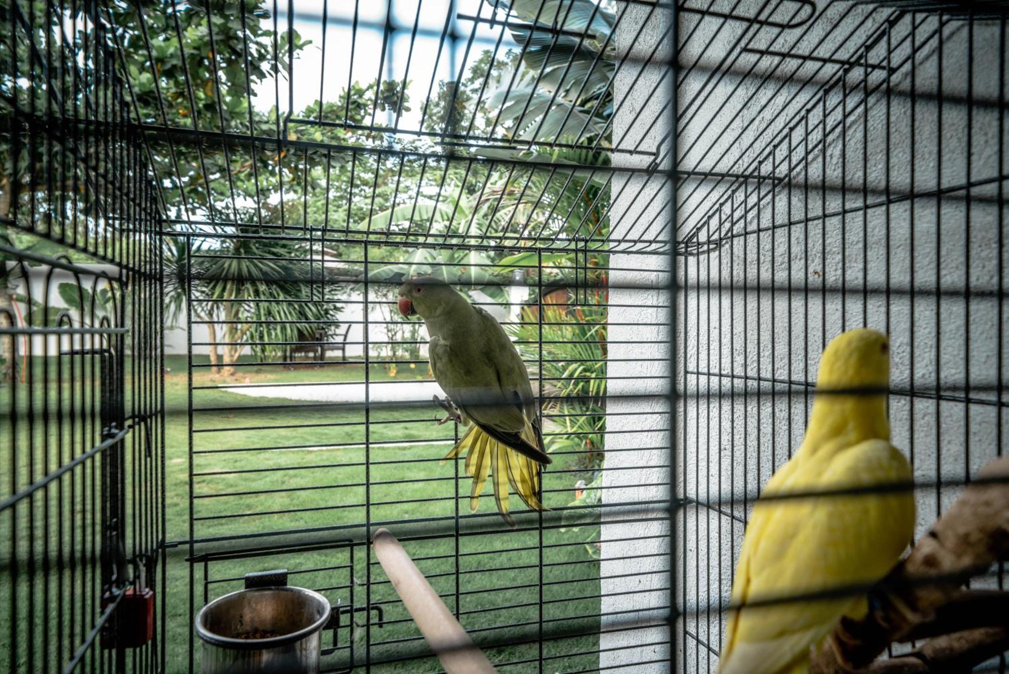 Tana Mysterious Garden Villa Панглао Екстериор снимка