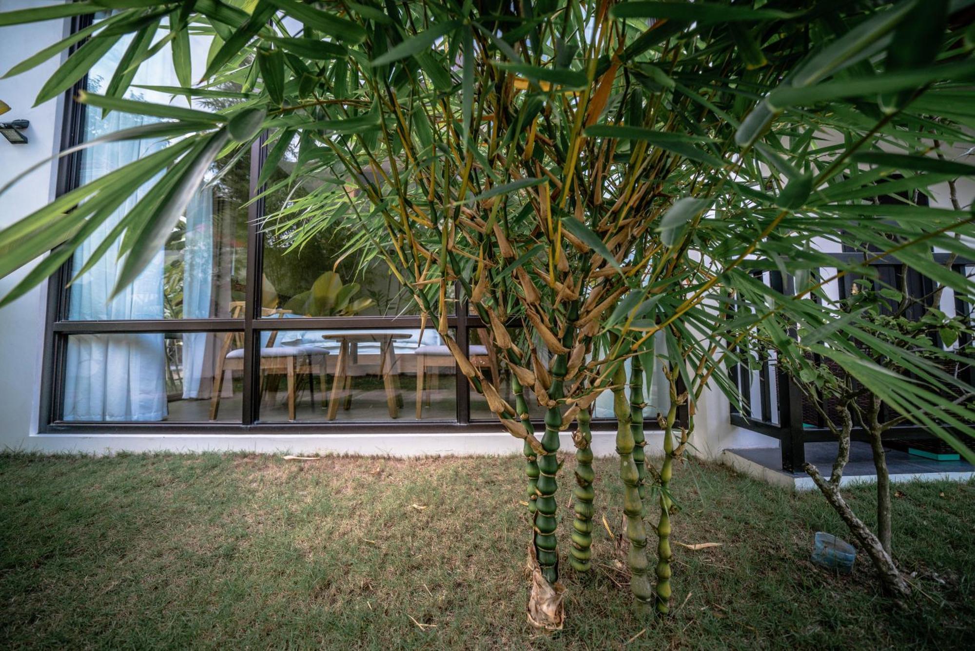 Tana Mysterious Garden Villa Панглао Екстериор снимка