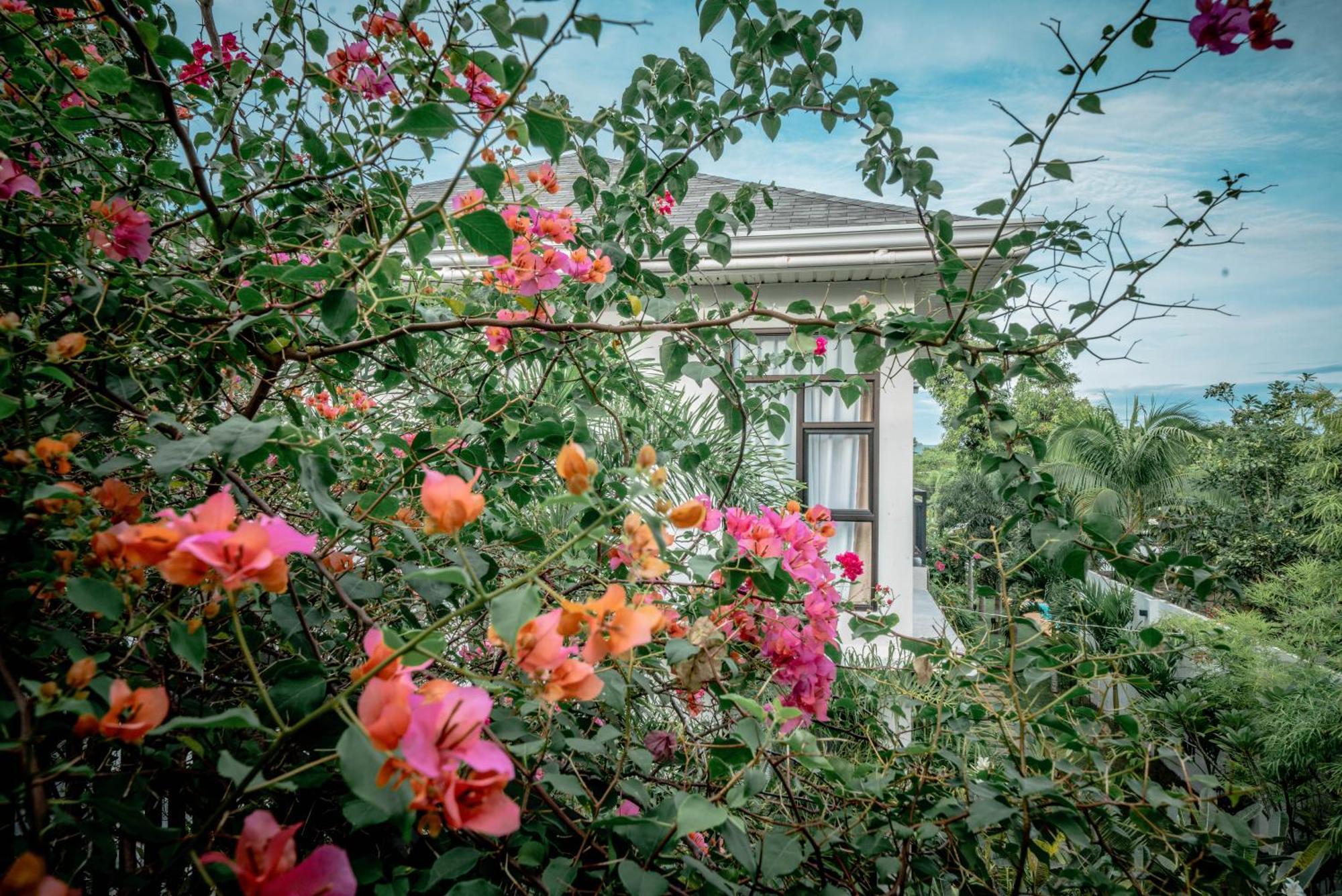 Tana Mysterious Garden Villa Панглао Екстериор снимка